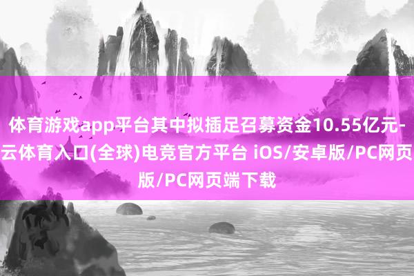 体育游戏app平台其中拟插足召募资金10.55亿元-开yun云体育入口(全球)电竞官方平台 iOS/安卓版/PC网页端下载