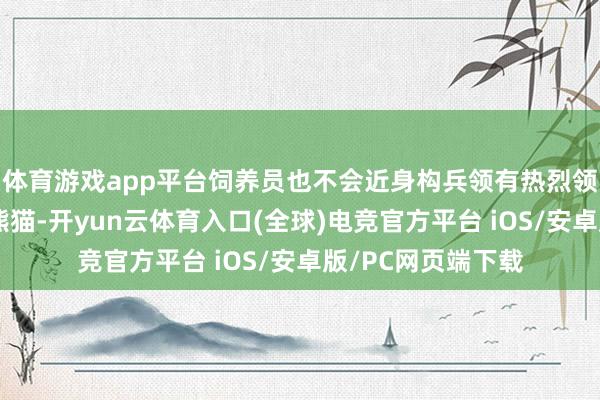 体育游戏app平台饲养员也不会近身构兵领有热烈领地意志的成年大熊猫-开yun云体育入口(全球)电竞官方平台 iOS/安卓版/PC网页端下载